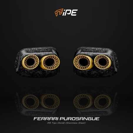 IPE F1 Ferrari Purosangue 2023- Cat-Back System